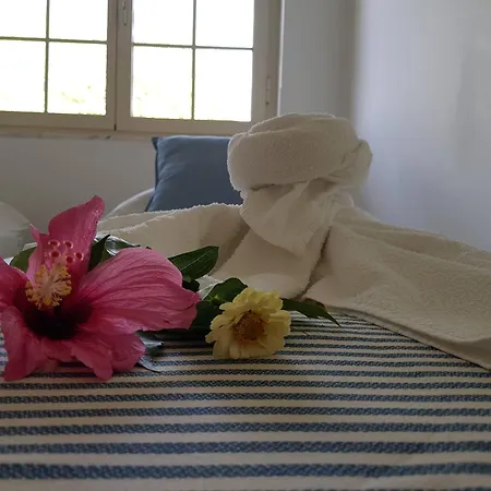 Apartamento Laria